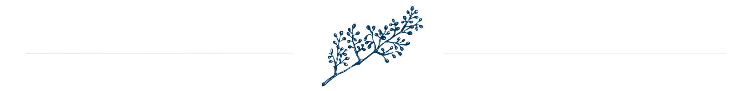 ערכת מותג יקב עמק האלה