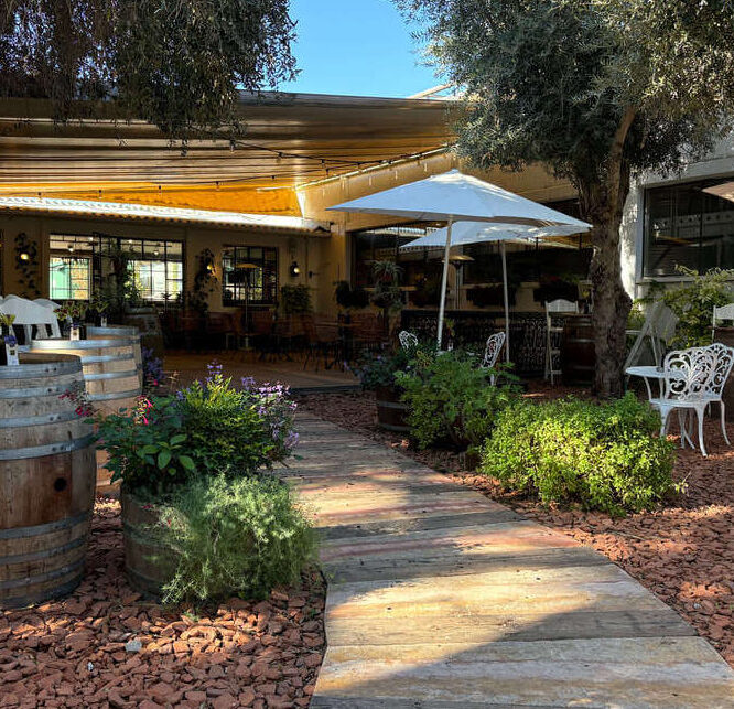 מרכז מבקרים