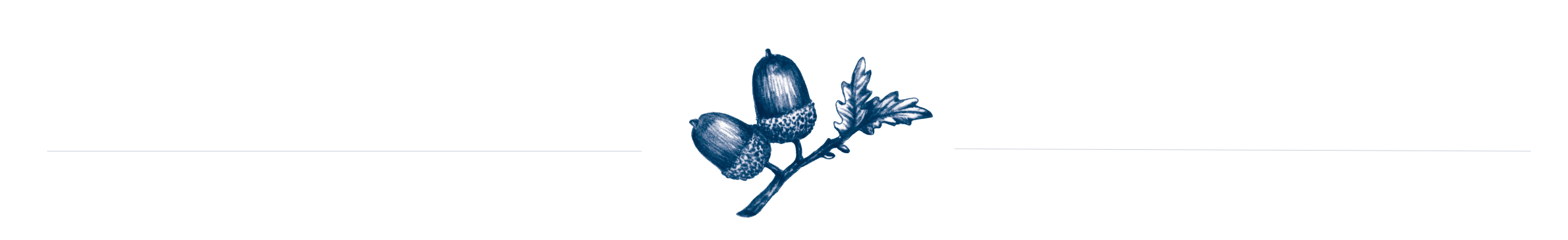 ערכת מותג יקב עמק האלה